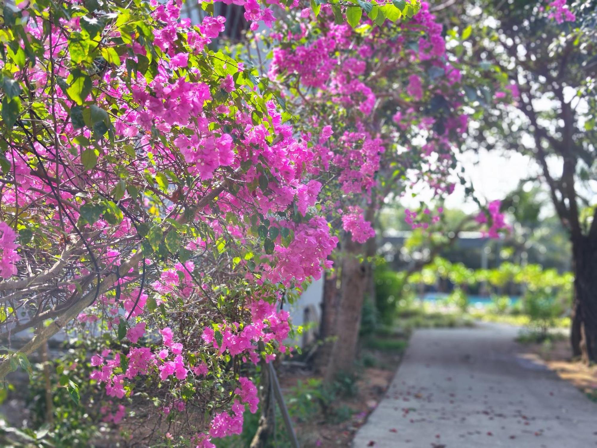 Y Village Resort Phu Quoc Buitenkant foto