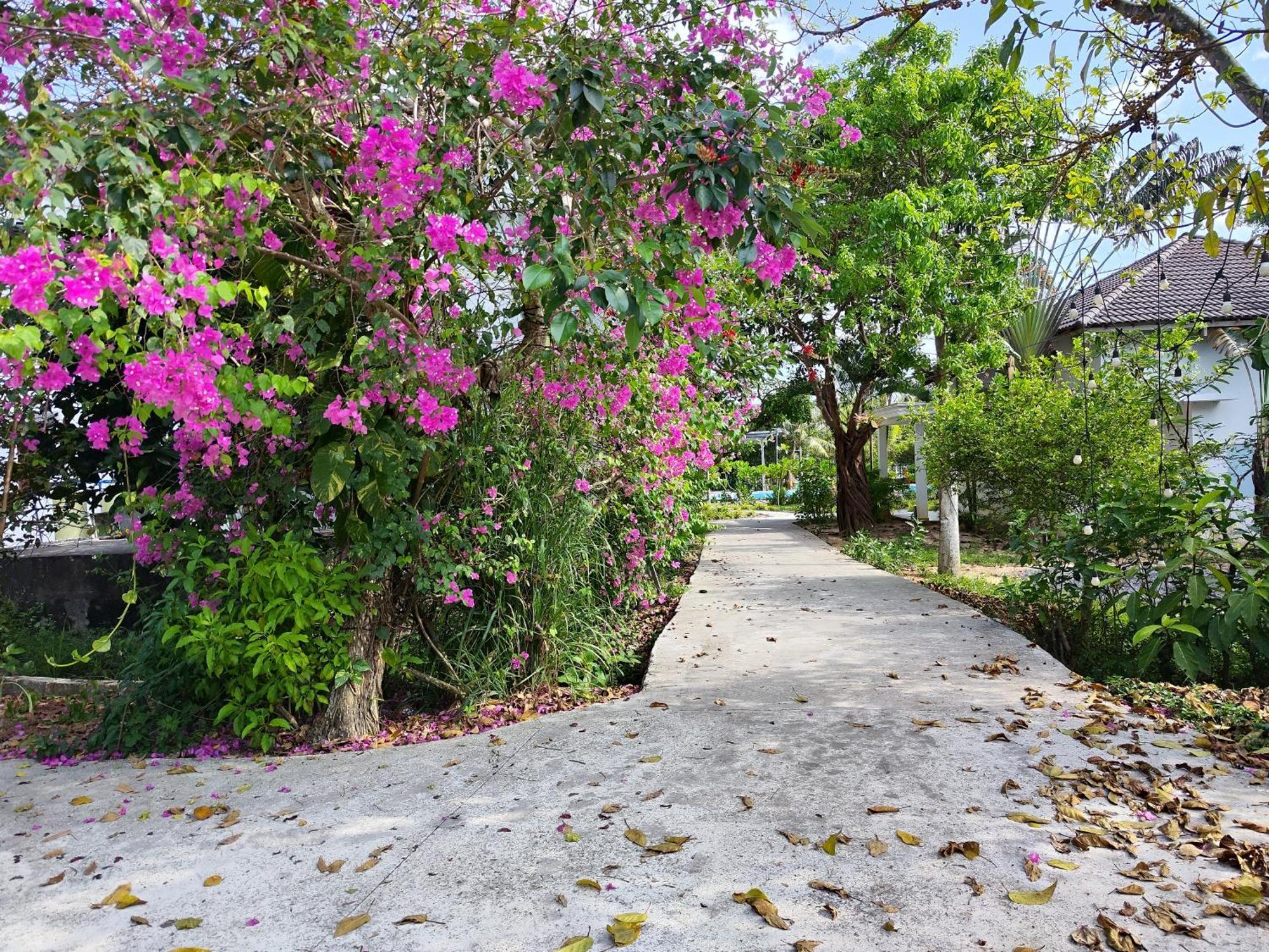 Y Village Resort Phu Quoc Buitenkant foto