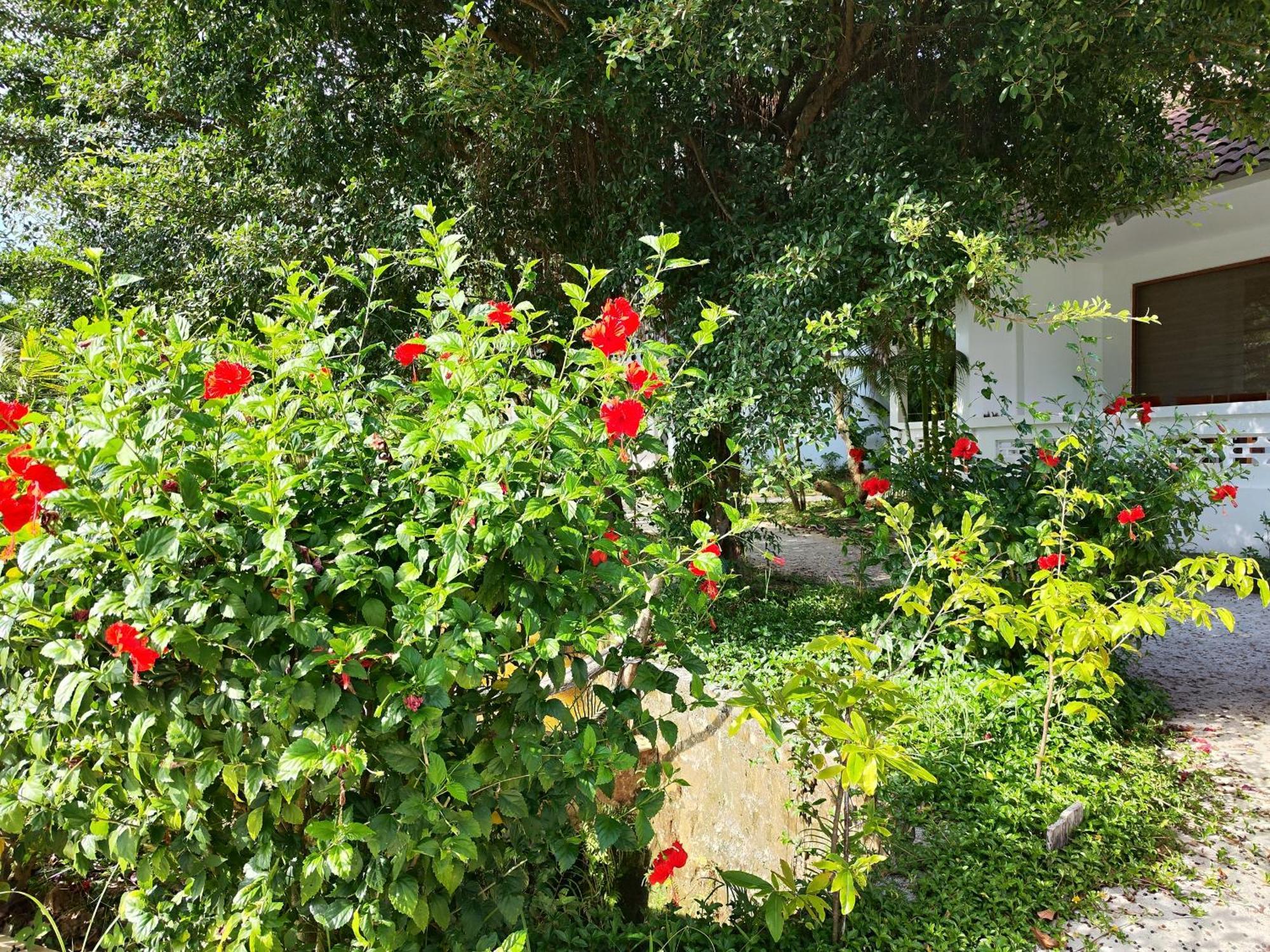 Y Village Resort Phu Quoc Buitenkant foto